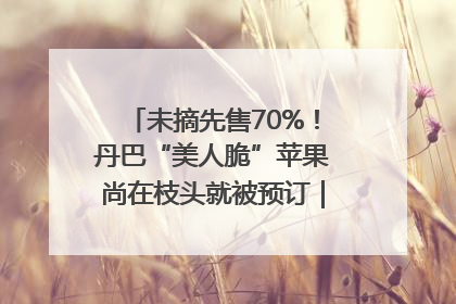 未摘先售70%！丹巴“美人脆”苹果尚在枝头就被预订｜长征路上看四川