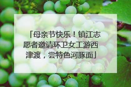 母亲节快乐！镇江志愿者邀请环卫女工游西津渡，尝特色河豚面