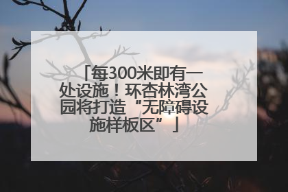 每300米即有一处设施！环杏林湾公园将打造“无障碍设施样板区”