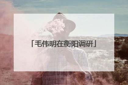 毛伟明在衡阳调研