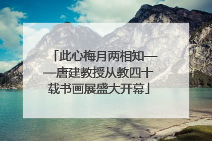 此心梅月两相知——唐建教授从教四十载书画展盛大开幕