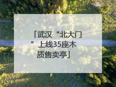 武汉“北大门”上线35座木质售卖亭