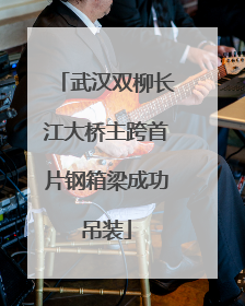 武汉双柳长江大桥主跨首片钢箱梁成功吊装