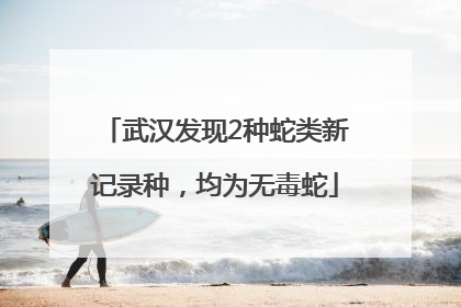 武汉发现2种蛇类新记录种，均为无毒蛇