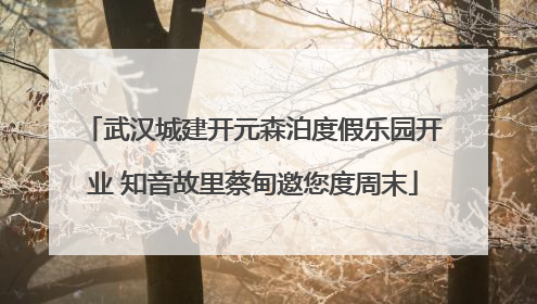 武汉城建开元森泊度假乐园开业 知音故里蔡甸邀您度周末