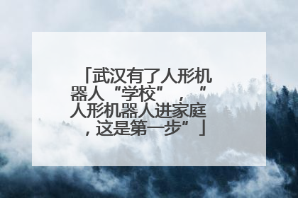 武汉有了人形机器人“学校”，“人形机器人进家庭，这是第一步”