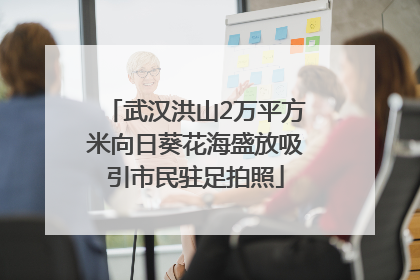 武汉洪山2万平方米向日葵花海盛放吸引市民驻足拍照