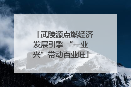 武陵源点燃经济发展引擎 “一业兴”带动百业旺