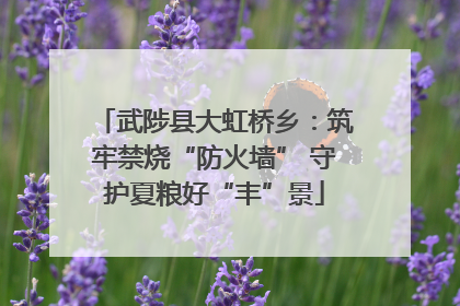 武陟县大虹桥乡:筑牢禁烧“防火墙” 守护夏粮好“丰”景