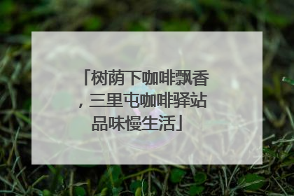 树荫下咖啡飘香，三里屯咖啡驿站品味慢生活