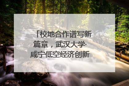 校地合作谱写新篇章，武汉大学·咸宁低空经济创新研究院签约成立