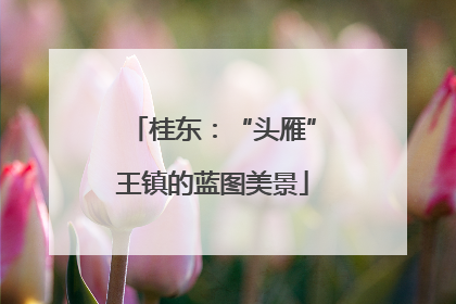桂东：“头雁”王镇的蓝图美景
