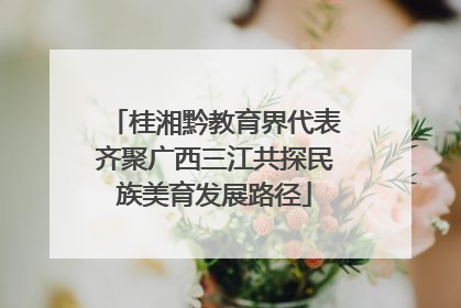 桂湘黔教育界代表齐聚广西三江共探民族美育发展路径