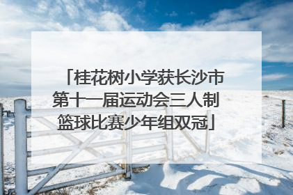 桂花树小学获长沙市第十一届运动会三人制篮球比赛少年组双冠
