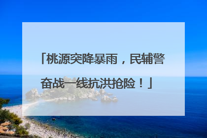 桃源突降暴雨，民辅警奋战一线抗洪抢险！