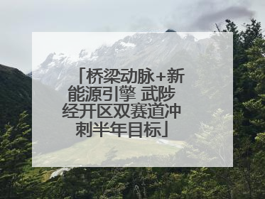 桥梁动脉+新能源引擎 武陟经开区双赛道冲刺半年目标