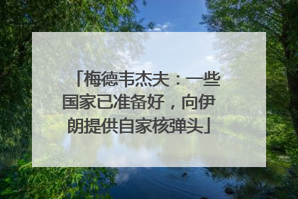 梅德韦杰夫：一些国家已准备好，向伊朗提供自家核弹头