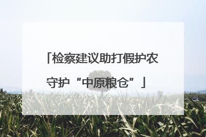 检察建议助打假护农守护“中原粮仓”