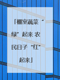 棚室蔬菜“绿”起来 农民日子“红”起来
