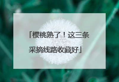 樱桃熟了！这三条采摘线路收藏好