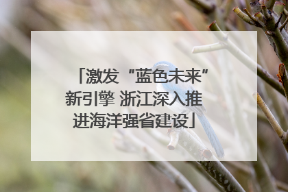 激发“蓝色未来”新引擎 浙江深入推进海洋强省建设