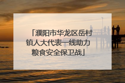 濮阳市华龙区岳村镇人大代表一线助力粮食安全保卫战