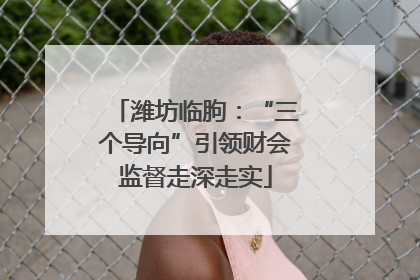 潍坊临朐：“三个导向”引领财会监督走深走实