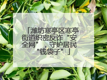 潍坊寒亭区寒亭街道织密反诈“安全网”，守护居民“钱袋子”