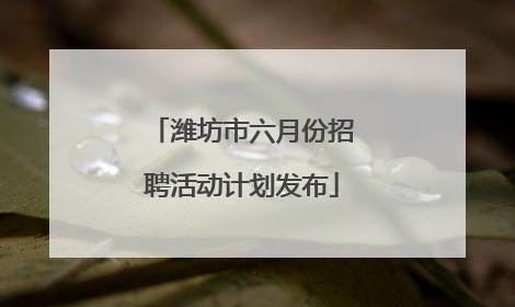 潍坊市六月份招聘活动计划发布