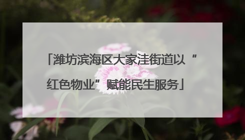 潍坊滨海区大家洼街道以“红色物业”赋能民生服务