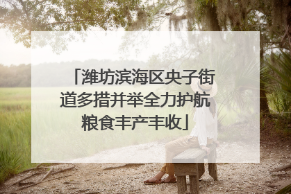 潍坊滨海区央子街道多措并举全力护航粮食丰产丰收