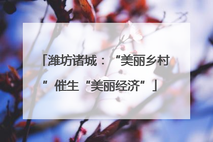 潍坊诸城：“美丽乡村”催生“美丽经济”
