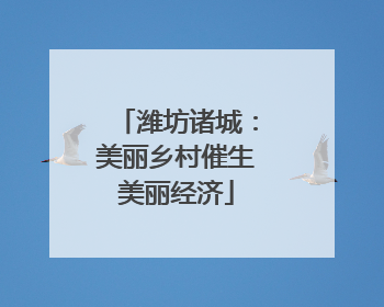 潍坊诸城：美丽乡村催生美丽经济