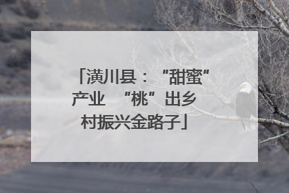 潢川县：“甜蜜”产业  “桃”出乡村振兴金路子