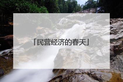 民营经济的春天