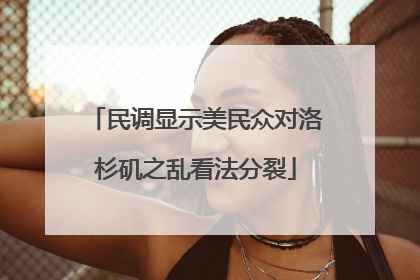 民调显示美民众对洛杉矶之乱看法分裂