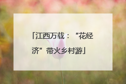 江西万载：“花经济”带火乡村游