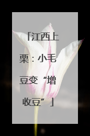 江西上栗：小毛豆变“增收豆”
