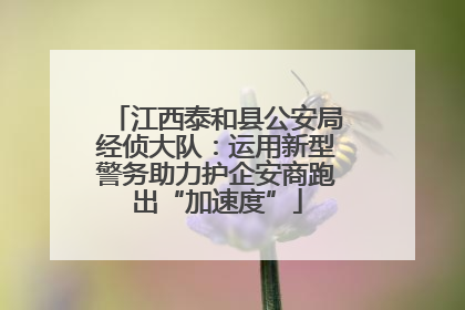 江西泰和县公安局经侦大队：运用新型警务助力护企安商跑出“加速度”