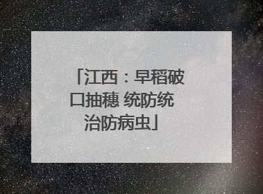 江西：早稻破口抽穗 统防统治防病虫