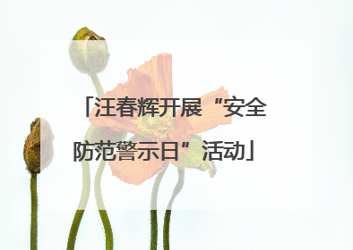 汪春辉开展“安全防范警示日”活动