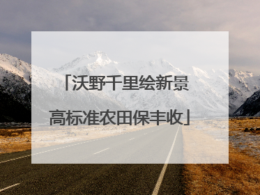 沃野千里绘新景 高标准农田保丰收