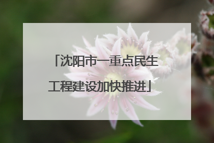 沈阳市一重点民生工程建设加快推进