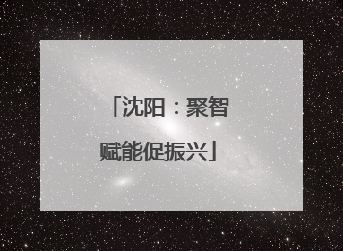 沈阳：聚智赋能促振兴
