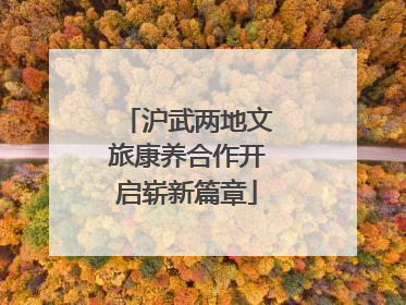 沪武两地文旅康养合作开启崭新篇章