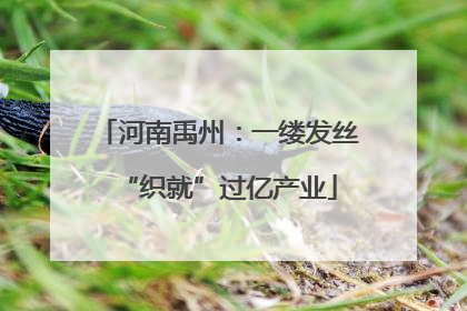 河南禹州：一缕发丝“织就”过亿产业