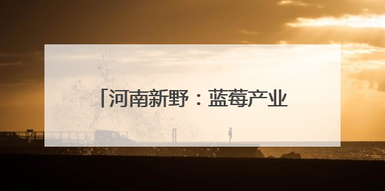 河南新野：蓝莓产业绘就振兴“蓝”图