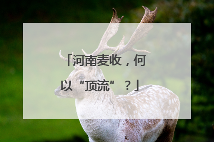 河南麦收，何以“顶流”？