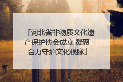 河北省非物质文化遗产保护协会成立 凝聚合力守护文化根脉