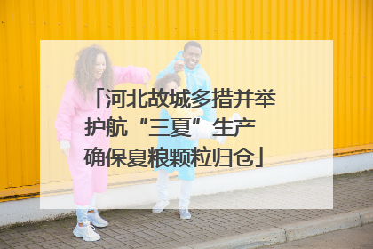 河北故城多措并举护航“三夏”生产 确保夏粮颗粒归仓